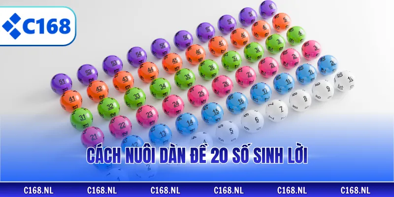 Cách nuôi dàn đề 20 số sinh lời